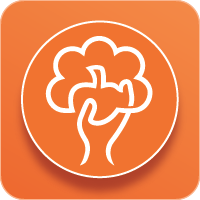 Amplify Curriculum